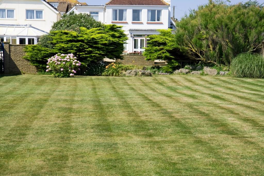 Striped lawn after a cut
